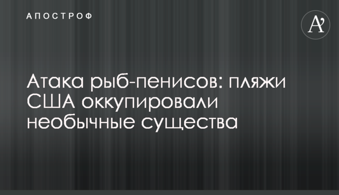 Атака рыб-пенисов: пляжи США оккупировали необычные существа