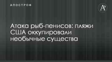 Атака рыб-пенисов: пляжи США оккупировали необычные существа