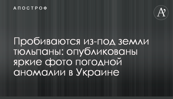Пробиваются из-под земли тюльпаны: опубликованы яркие фото погодной аномалии в Украине