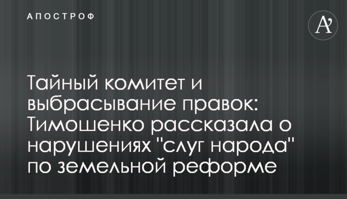 Тайный комитет и выбрасывание правок: Тимошенко рассказала о нарушениях 