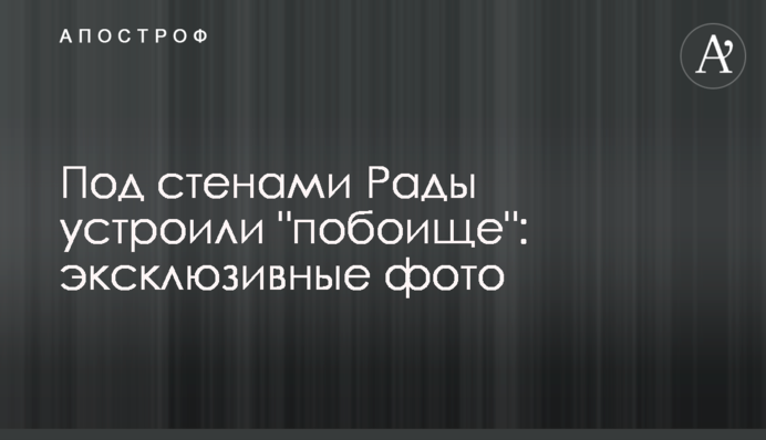 Под стенами Рады устроили "побоище": эксклюзивные фото