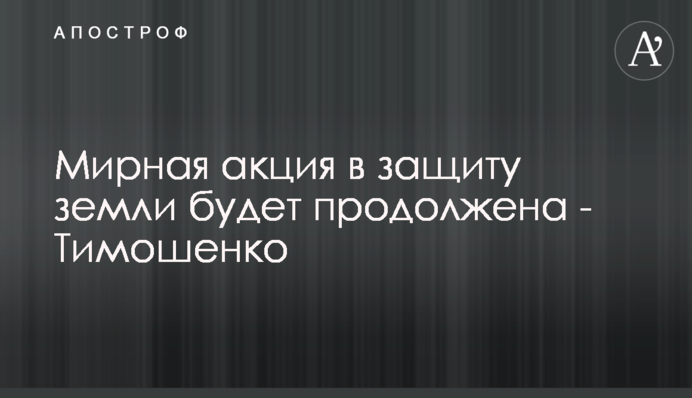 Мирная акция в защиту земли будет продолжена - Тимошенко
