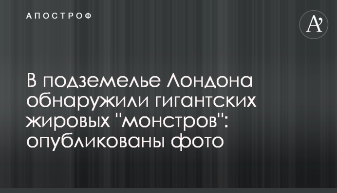 В подземелье Лондона обнаружили гигантских жировых 