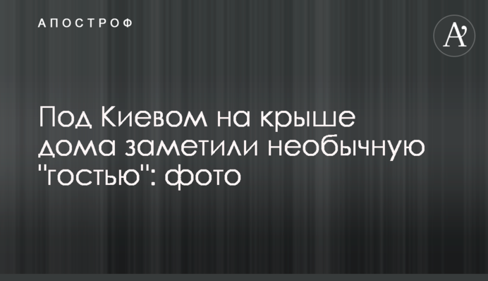 Під Києвом на даху будинку помітили незвичайну 
