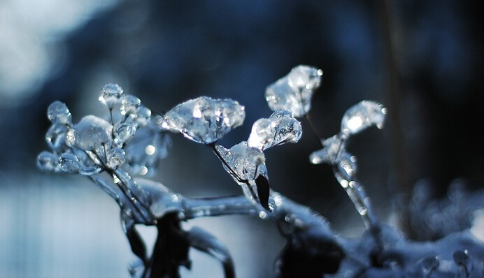 В ожидании снегопадов: синоптики дали свежий прогноз на субботу