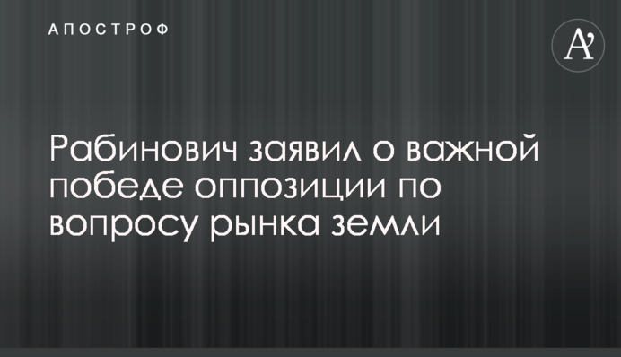 Рабинович заявил о важной победе оппозиции по вопросу рынка земли