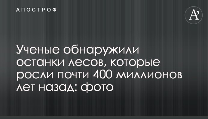 Вчені виявили останки лісів, які росли майже 400 мільйонів років тому: фото