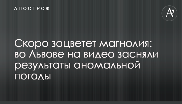 Скоро зацветет магнолия: во Львове на видео засняли результаты аномальной погоды