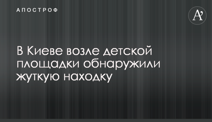 У Києві біля дитячого майданчика виявили страшну знахідку