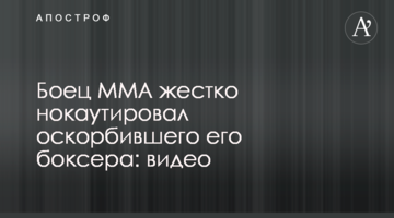 Боец MMA жестко нокаутировал оскорбившего его боксера: видео