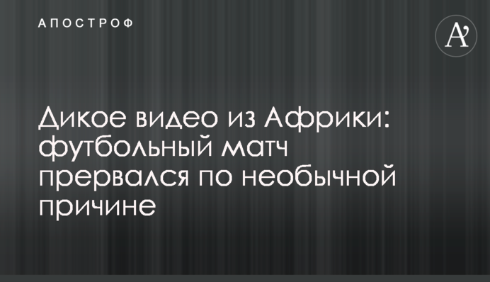 Дике відео з Африки: футбольний матч перервався через незвичайну причину