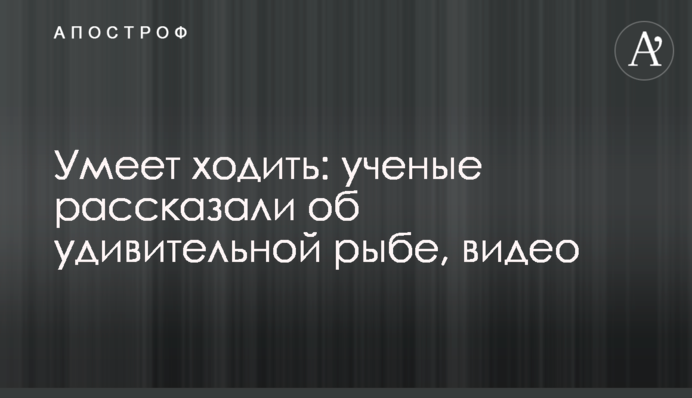 Умеет ходить: ученые рассказали об удивительной рыбе, видео