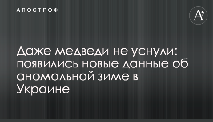 Даже медведи не уснули: появились новые данные об аномальной зиме в Украине