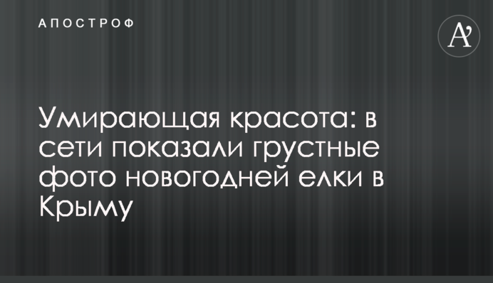 Умирающая красота: в сети показали грустные фото новогодней елки в Крыму