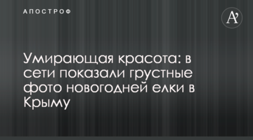 Умирающая красота: в сети показали грустные фото новогодней елки в Крыму