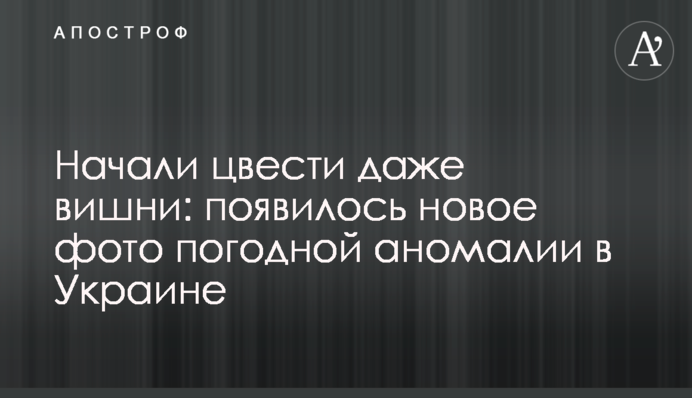 Почали цвісти навіть вишні: опубліковано нове фото погодної аномалії в Україні