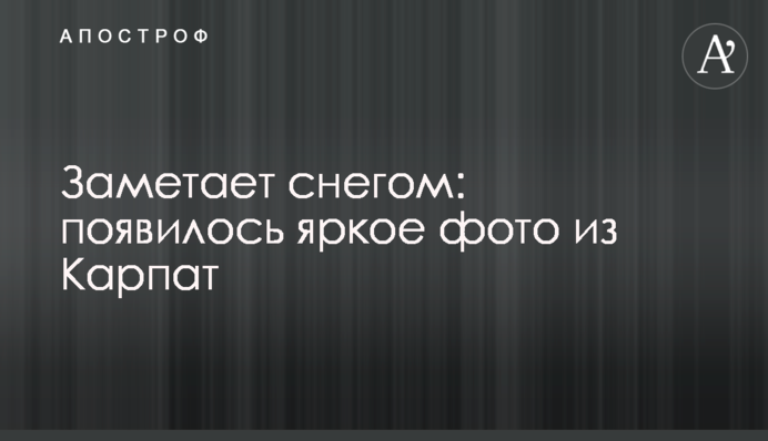 Заметает снегом: появилось яркое фото из Карпат