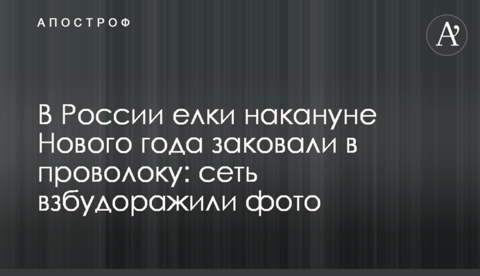 В России елки накануне Нового года 