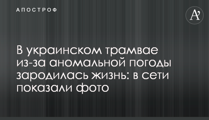 В украинском трамвае из-за аномальной погоды зародилась жизнь: в сети показали фото