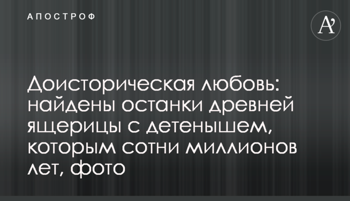 Доисторическая любовь: найдены останки древней ящерицы с детенышем, которым сотни миллионов лет, фото