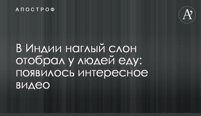 В Індії нахабний слон відібрав у людей їжу: з'явилося цікаве відео