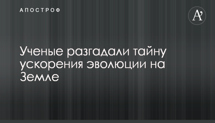 Журналисты уличили во лжи и манипуляции рейдеров Микитася: видео