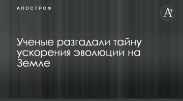 Журналисты уличили во лжи и манипуляции рейдеров Микитася: видео