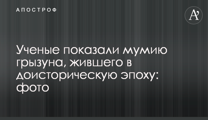 Ученые показали мумию грызуна, жившего в доисторическую эпоху: фото
