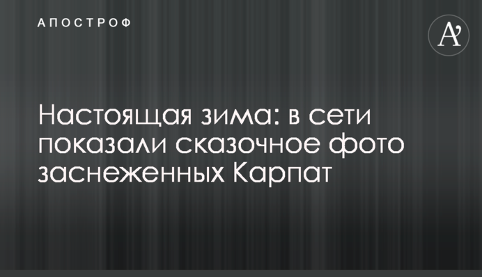 Справжня зима: в мережі показали казкове фото засніжених Карпат