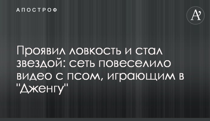 Проявив спритність і став зіркою: мережу повеселило відео з псом, що грає в 