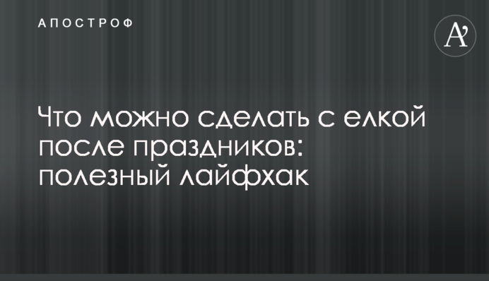 Что можно сделать с елкой после праздников: полезный лайфхак