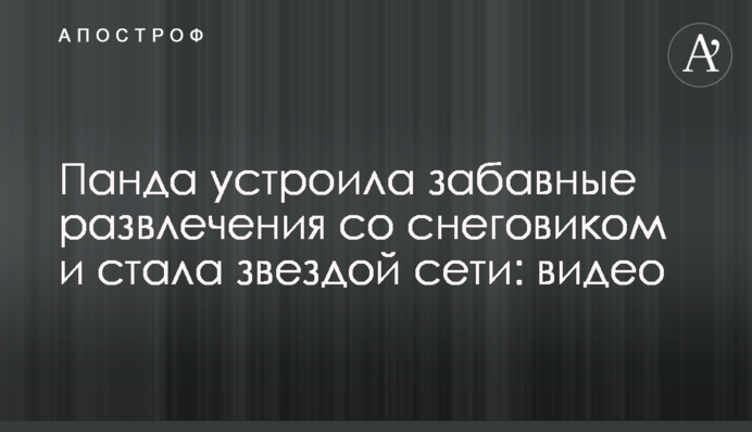 Панда устроила забавные развлечения со снеговиком и стала звездой сети: видео