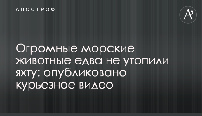 Величезні морські тварини ледь не втопили яхту: опубліковано курйозне відео