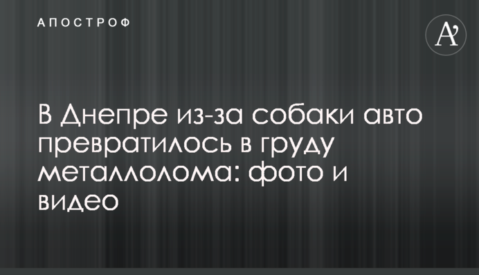 В Днепре из-за собаки авто превратилось в груду металлолома: фото и видео