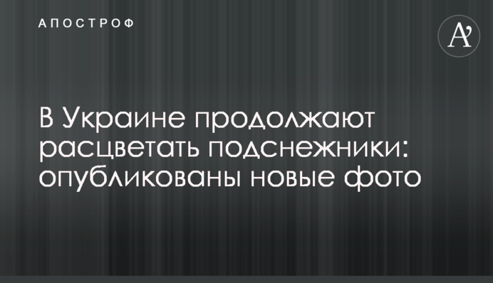 В Україні продовжують розцвітати проліски: опубліковано нові фото