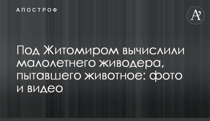 Під Житомиром вирахували малолітнього шкуродера, який катував тварину: фото і відео