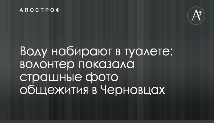 Схватка бешеной лисы-убийцы с собакой под Бердянском попала на видео