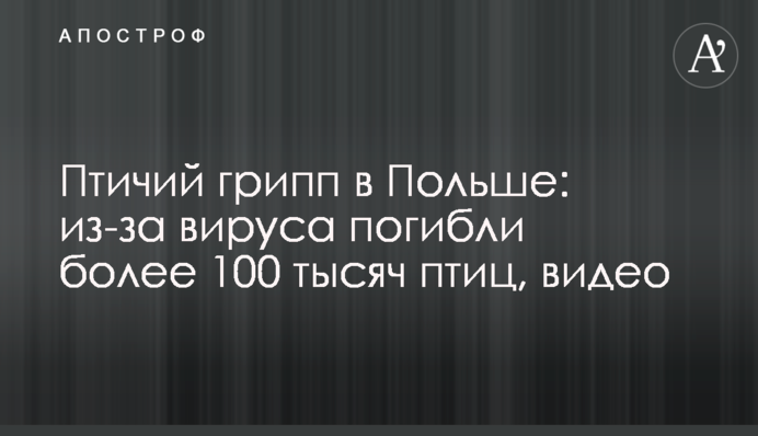 Птичий грипп в Польше: из-за вируса погибли более 100 тысяч птиц, видео