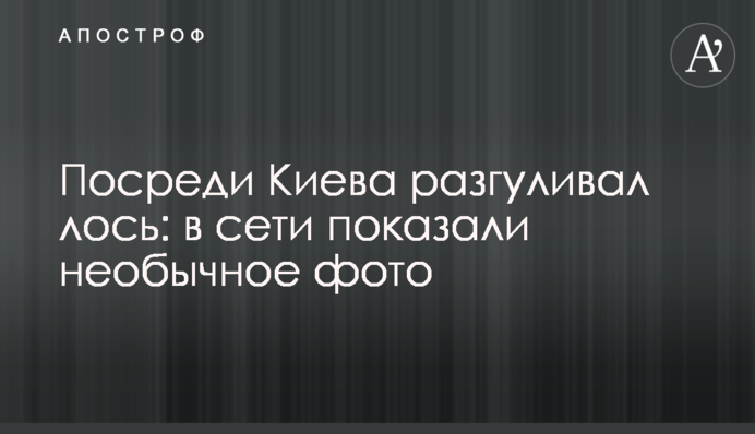 Посеред Києва розгулював лось: в мережі показали незвичайне фото