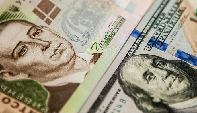 В МВФ назвали главные факторы, повлиявшие на курс гривны: что будет дальше