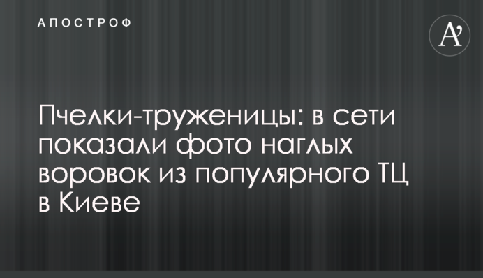 Пчелки-труженицы: в сети показали фото наглых воровок из популярного ТЦ в Киеве