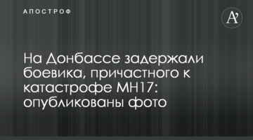 На Донбассе задержали боевика, причастного к катастрофе MH17: опубликованы фото
