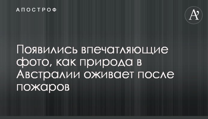 З'явилися вражаючі фото, як природа в Австралії оживає після пожеж