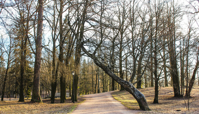 Синоптики обещают солнечное воскресенье: карта погоды