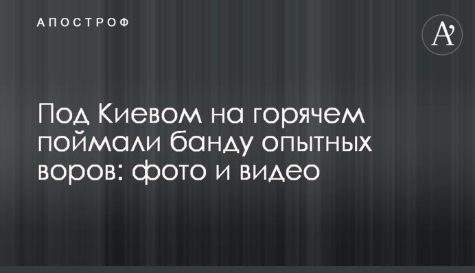 Под Киевом на горячем поймали банду опытных воров: фото и видео