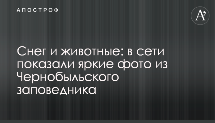 Снег и животные: в сети показали яркие фото из Чернобыльского заповедника