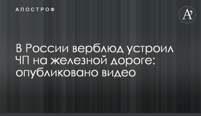 У Росії верблюд влаштував НП на залізниці: опубліковано відео