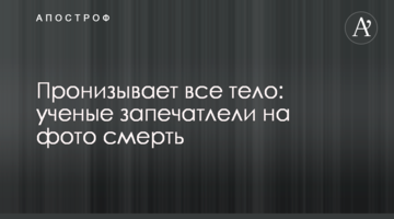 Пронизує все тіло: вчені зафіксували на фото смерть