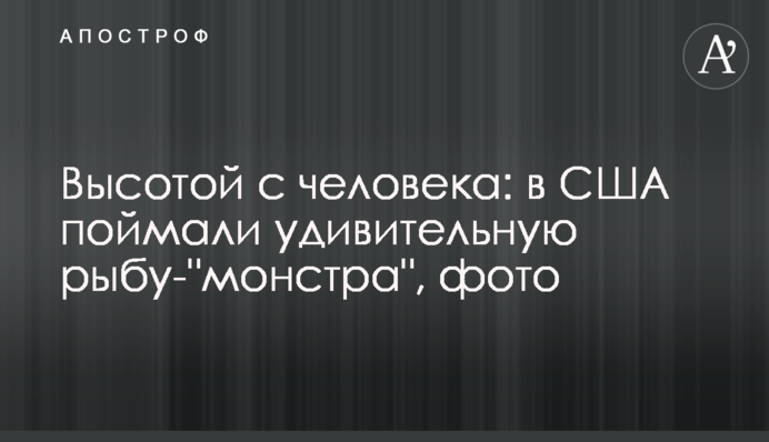 Высотой с человека: в США поймали удивительную рыбу-