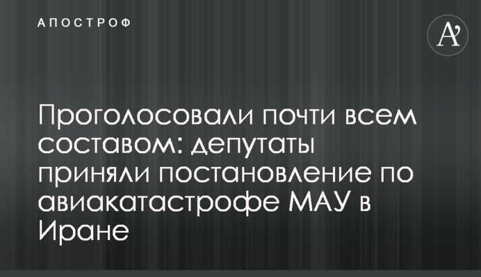 Проголосовали почти всем составом: депутаты приняли постановление по авиакатастрофе МАУ в Иране